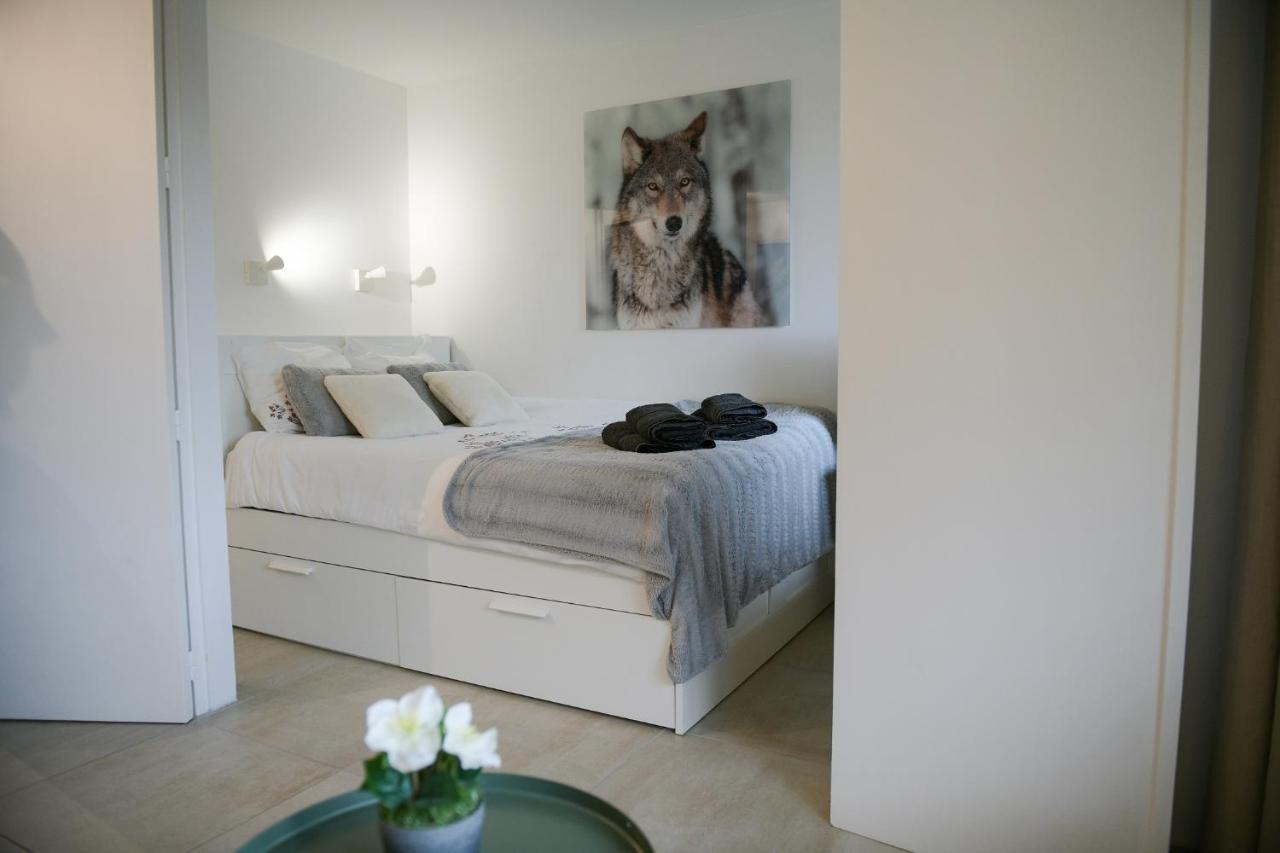 Apartamento Chamonix 27 - Au Centre Vue Mont Blanc Et Jardin Exterior foto